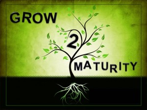 maturity-grown-up-300x225