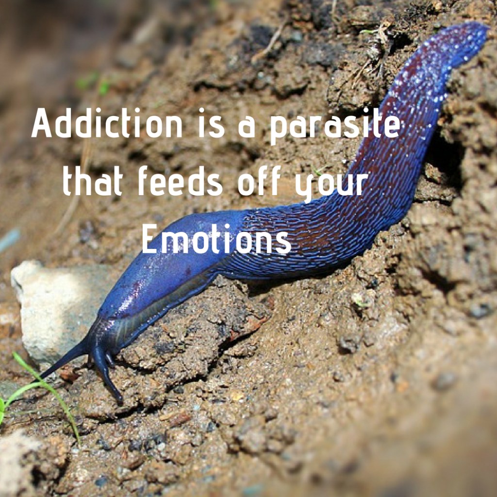 Addiction – A Parasite that feeds off your&nbsp;Emotions?